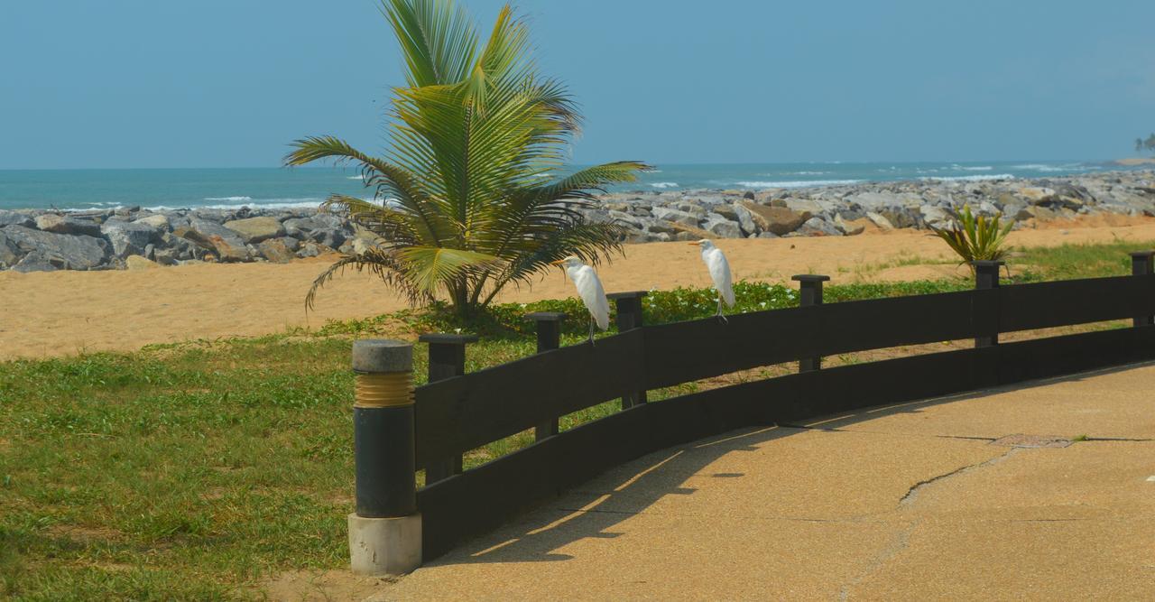 Elmina Bay Resort エクステリア 写真